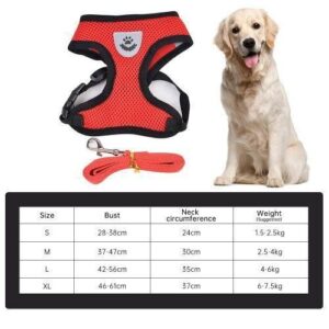 Dog Harness Cat Harness Training Strap