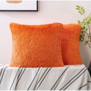 Pack of 2 Faux Fur Throw Pillow Covers