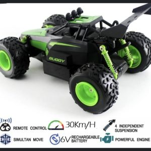 Buggy slayer rechargeable remote car