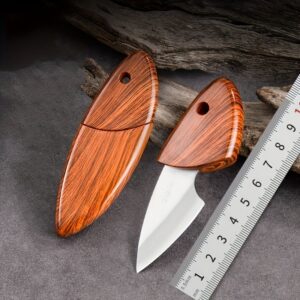 Compact Stainless Steel Knife with Wooden Handle