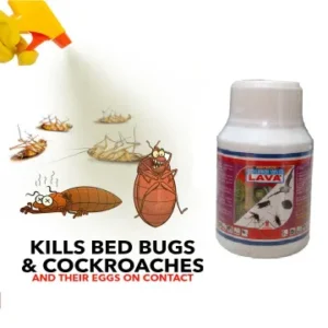 Lava Insecticide for Bedbugs and Cockroach