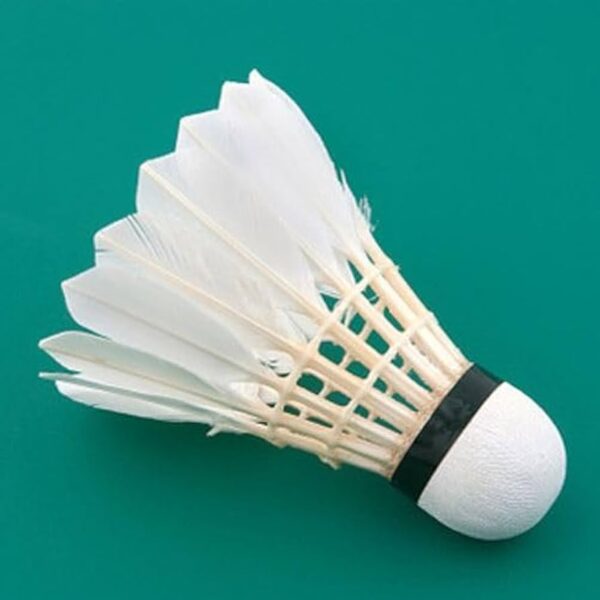 Shuttlecock