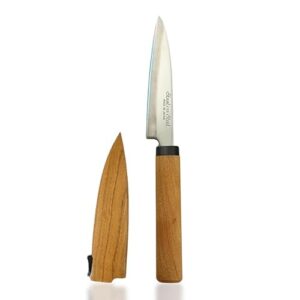 Compact Stainless Steel Knife with Wooden Handle